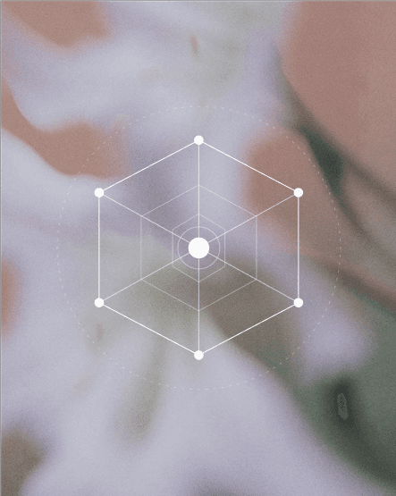 A geometric hexagon with layered inner structure overlaid on a soft organic background
